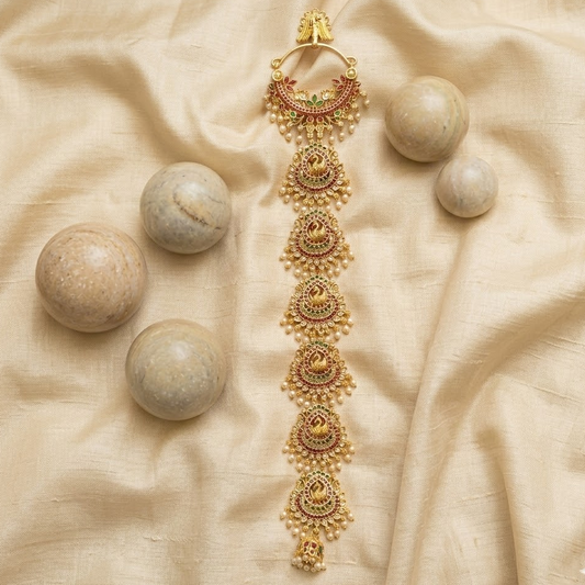 Hair Choti/ Jada billa peacock design