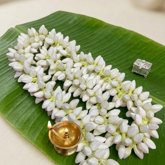 Realistic Jasmine Bud String  Two Mozham/32"